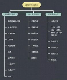 餐飲業(yè)四大管理原則 解析海底撈的成功密碼